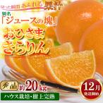おひさまきらりん 秀品 約20kg
