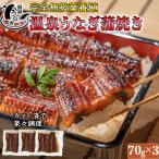 完全無投薬養殖 大分水産の温泉うなぎ蒲焼