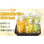 オレンジ農園の果実の飲むゼリー セット
