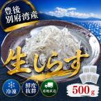 豊後別府湾産 生しらす 5パック