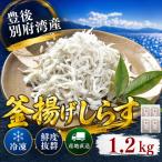 豊後別府湾釜揚げしらす 計 1.2kg
