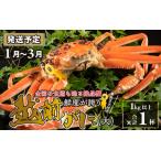 越前がに 大 1kg以上