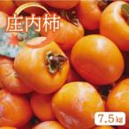 SA2920 庄内柿 約7.5kg