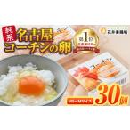 fu.... налог оригинальный серия Nagoya Coach n яйцо 30 шт действительно прекрасный тест .. еда. приправа. тест . отрицательный . не! яйцо префектура Аичи большой префектура город 