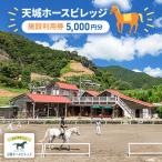天城ホースビレッジ 施設利用券 5,000円