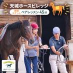 乗馬体験 伊豆 ペアレッスン 45分 天城 子供