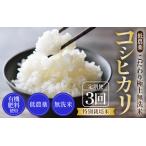 ふるさと納税 【先行予約】【令和7年産 新米】《定期便》5kg×3回 15kg 特別栽培米 コシヒカリ 無洗米 低農薬 《食味値85点以上!こだわり.. 福井県あわら市