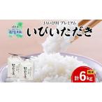 ハツシモ 米 いびいただき 精米 JAいび川