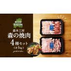 焼肉セット 飛騨 美濃けんとん 豚肉 4種