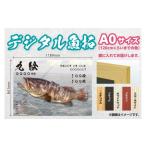 CM-013 メモリアルフィッシュを釣れたてのままに