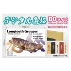 CM-016 メモリアルフィッシュを釣れたてのままに