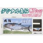 CM-011 メモリアルフィッシュを釣れたてのままに
