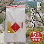 白米 ひのひかり10kg