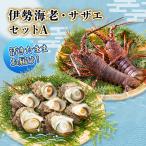 セット 活伊勢海老 サザエ Aセット 2 15匹