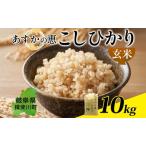 ふるさと納税 あすかの恵 こしひかり 玄米 10kg お米 米 コメ 揖斐川 飛鳥川 玄米 白飯 ご飯 ふっくら 艶 ツヤ 旨味 甘い 朝食 夕食 強火 弱.. 岐阜県揖斐川町