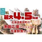 ふるさと納税 【順次発送】【緊急支援品】北海道鹿部町の漁師応援プロジェクト！ ”３Dエアブラスト凍結法”を使った冷凍鮮魚セット 4〜4.5kg  .. 北海道鹿部町