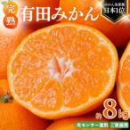 みかん 有田みかん 約8kg+150g ご