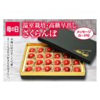 ふるさと納税 《先行予約 2026年度発送》母の日 山形さくらんぼ 佐藤錦 特秀品 Lサイズ 24粒 チョコ箱 メッセージカード付 FSY-2211 山形県