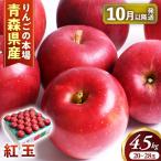産りんご 紅玉 約4.5kg