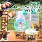 牛乳 ヨーグルト チーズ詰め合わせ 11点