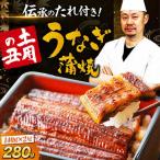 うなぎ 蒲焼き2尾 蒲焼き