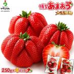博多あまおう4パック 約1kg
