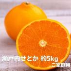 せとか 瀬戸内 ご みかん