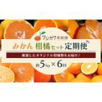 柑橘セット フジカワ果樹園 新季節 みかん 柑橘セット