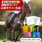 調教用ゼッケンと騎手サイン色紙 栗東カラー