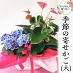 季節の寄せかご 中
