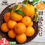みかん 柑橘詰合せ