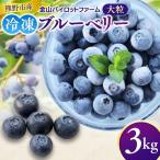 冷凍 ブルーベリー 3kg
