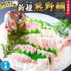 鯛 新姫熊野鯛 下処理済み 一匹 冷蔵
