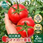 トマト 2kg