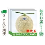 メロン 3ヶ月 定期便 クラウン 白等級 特大玉 1玉