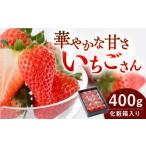 いちごさん 化粧箱入り400g いちご IBJ002