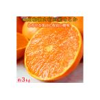 ふるさと納税 とろける食感!ジューシー柑橘 せとか 約3kg｜みかん ミカン 柑橘 果物 くだもの フルーツ せとか 甘い 先行予約 国産 産地直送 .. 和歌山県美浜町