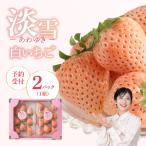 産白いちご 淡雪 2パック