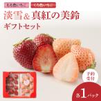 淡雪&真紅の美鈴 セット いちご 食べ比べ