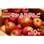 ふるさと納税 【家庭用】無袋栽培ふじりんご 優品 約10kg入り りんご リンゴ 林檎 フルーツ 果物 くだもの 10キロ 送料無料 山形 FY25-901 山形県山形市