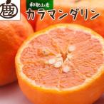 カラマンダリン1kg+250g 傷み補償分
