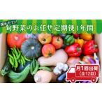 旬野菜のお任せ定期便1年間 月1回出荷