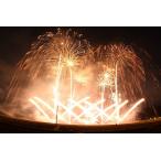 で堪能するプライベート花火 2~4号玉