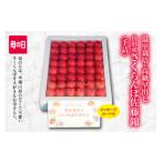 ふるさと納税 《先行予約 2026年度発送》フルーツ王国山形 山形さくらんぼ 佐藤錦 特秀品 Lサイズ300g 手詰 母の日メッセージカード付 FSY-0412 山形県