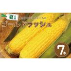 ふるさと納税 【先行予約】ゴールドラッシュ 7本 大阪府泉佐野市
