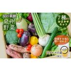 ふるさと納税 005A070 季節の泉州野菜セット（小：5〜7種） 大阪府泉佐野市