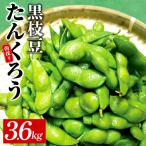 朝採り直送 黒枝豆 3.6kg