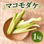 マコモダケ 1kg