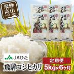 定期便 6ヶ月 飛騨 コシヒカリ 白米 5kg