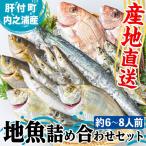 鮮魚ボックス 鮮魚BOX 地魚 詰め合わせ